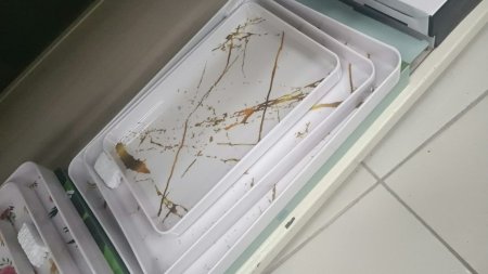 طقم صواني بلاستيك